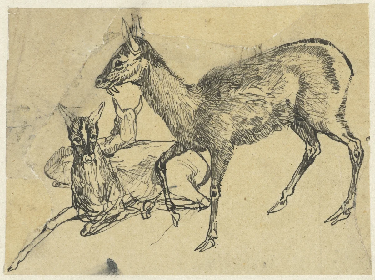 Drie herten by Rodolphe Bresdin, drawing, 1869-1873