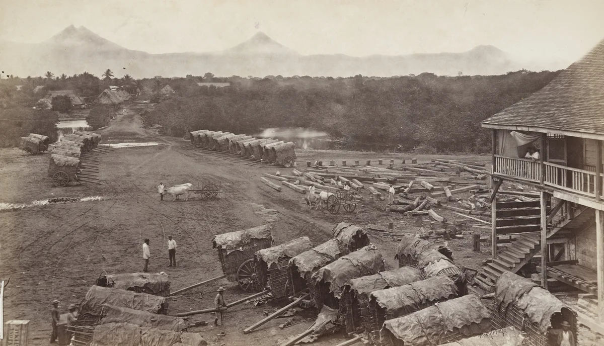 Arrival of Coffee Carts at San Jose by Eadweard Muybridge, photograph, 1875