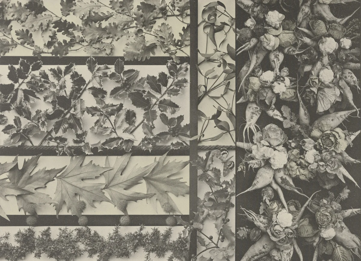 Page from Festons und Dekorative Gruppen by Unidentified Photographer, photograph, 1893