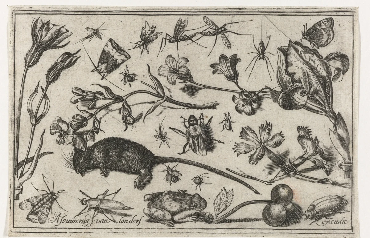 Bloemen, insecten, een kikker en een dode muis by Unknown, print, 1594