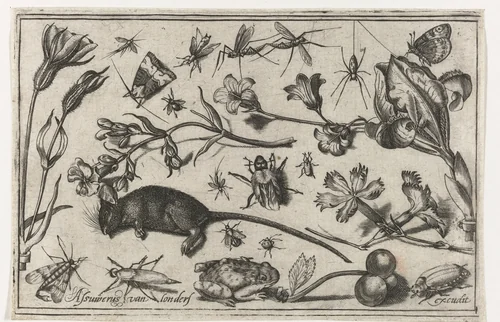 Bloemen, insecten, een kikker en een dode muis by Unknown, print, 1594