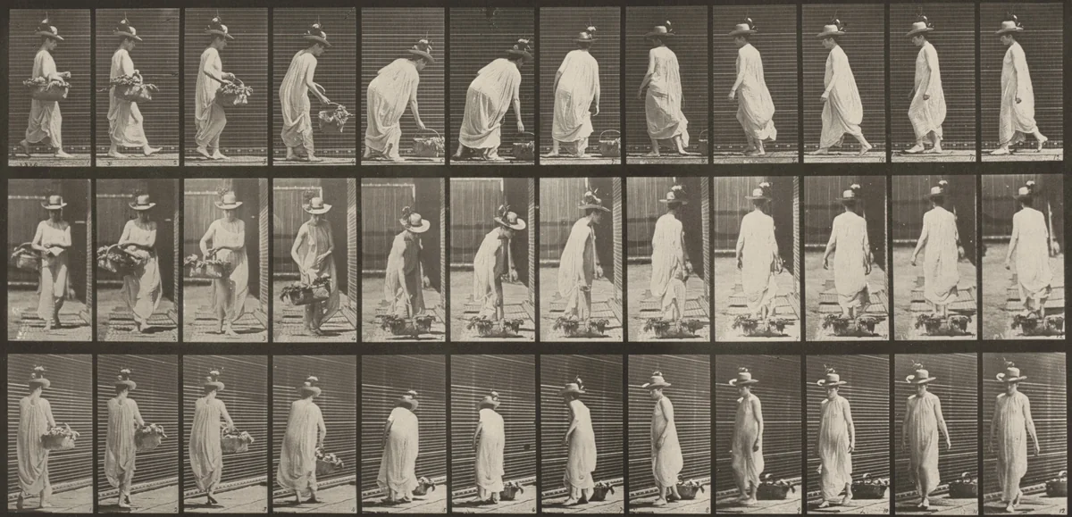 Plate Number 229. Placing a basket on the ground and turning by Eadweard Muybridge, photograph, 1887
