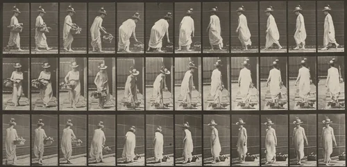 Plate Number 229. Placing a basket on the ground and turning by Eadweard Muybridge, photograph, 1887