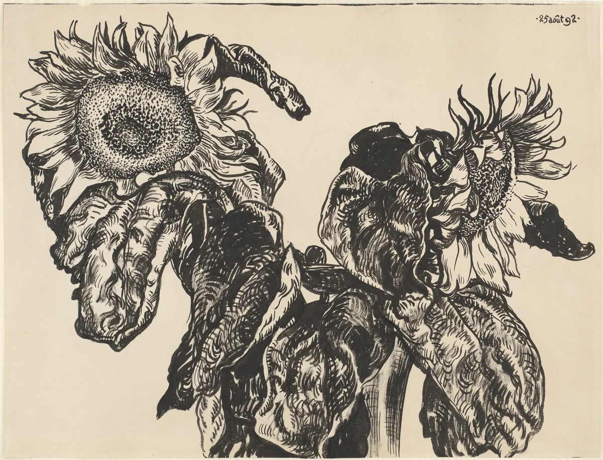 Sunflowers by Georges Lemmen, drawing, 1892
