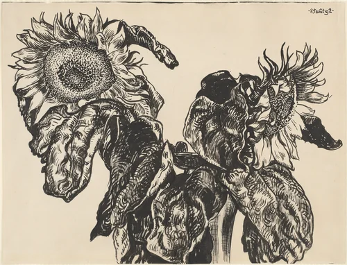 Sunflowers by Georges Lemmen, drawing, 1892