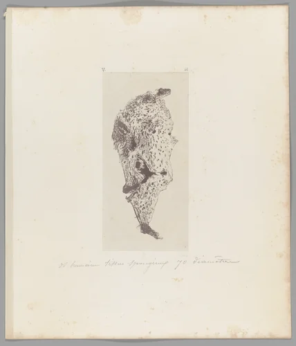 [Untitled] by Auguste-Adolphe Bertsch, photograph, 1853-1857