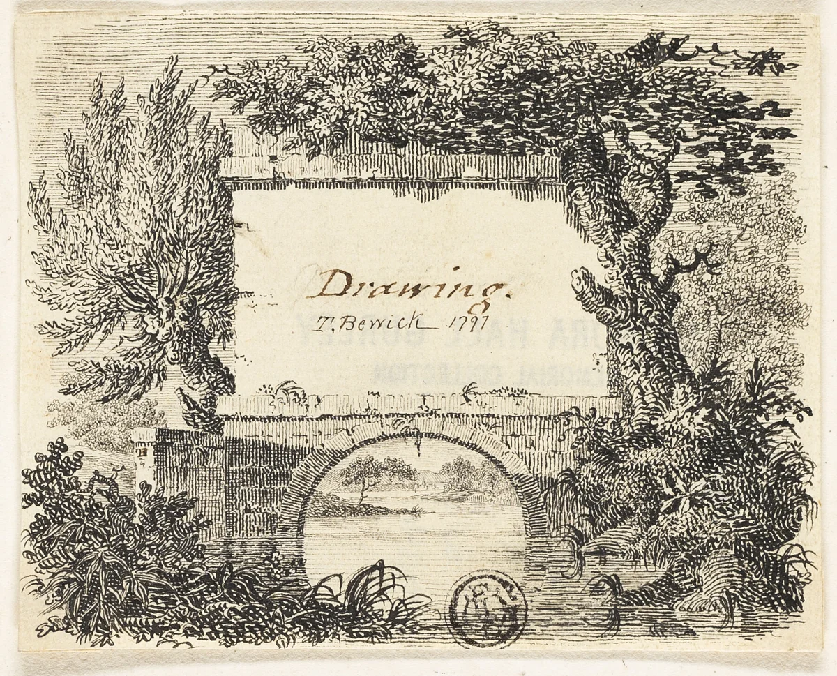 Vignette with Bridge Trees by Thomas Bewick, drawing, 1797