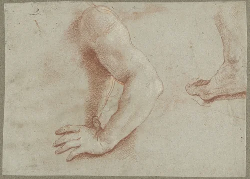 Studies voor lichaamsdelen van de heilige Floriaan by Guido Reni, drawing, 1608-1616