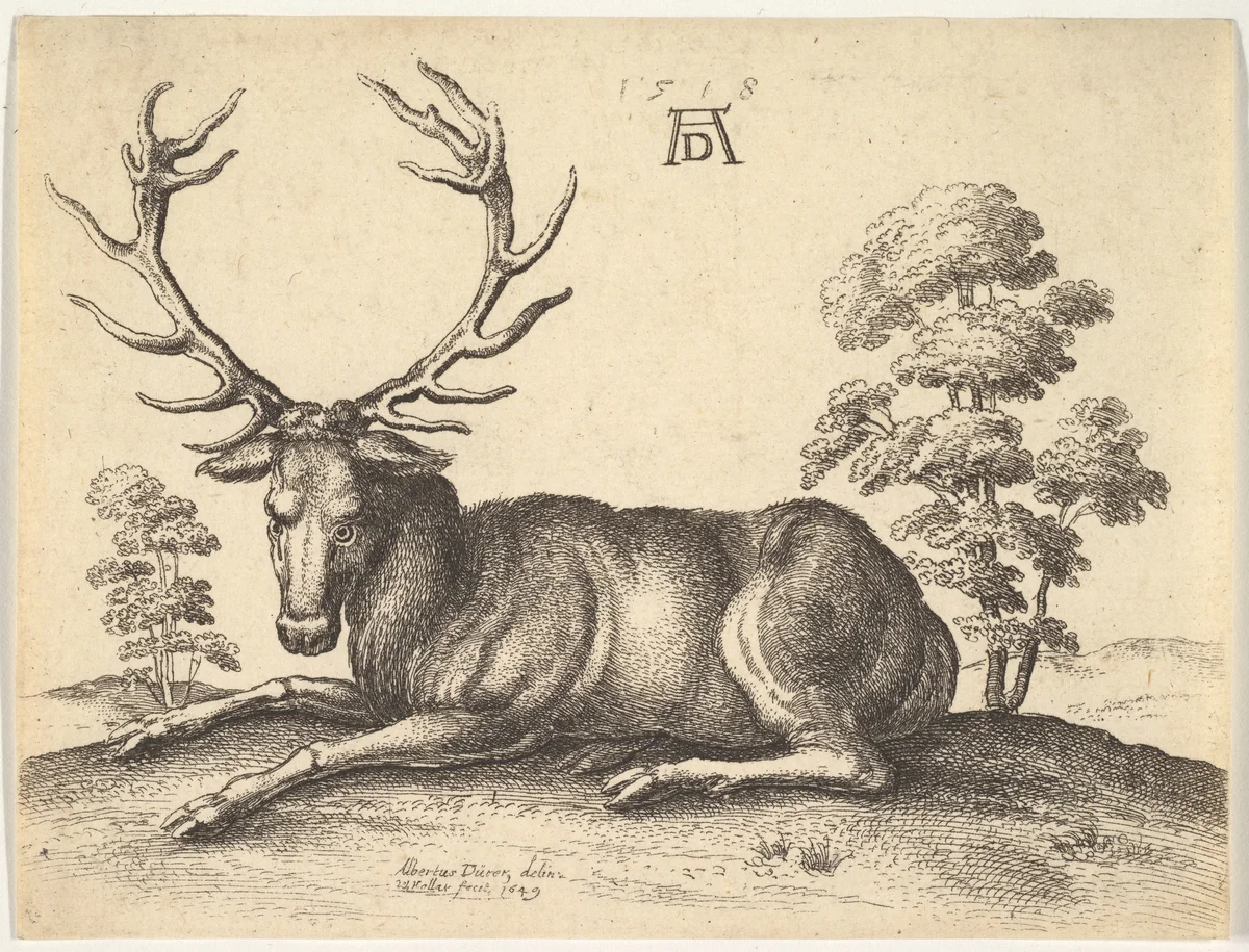 Stag lying to left by Wenceslaus Hollar, print, 1649