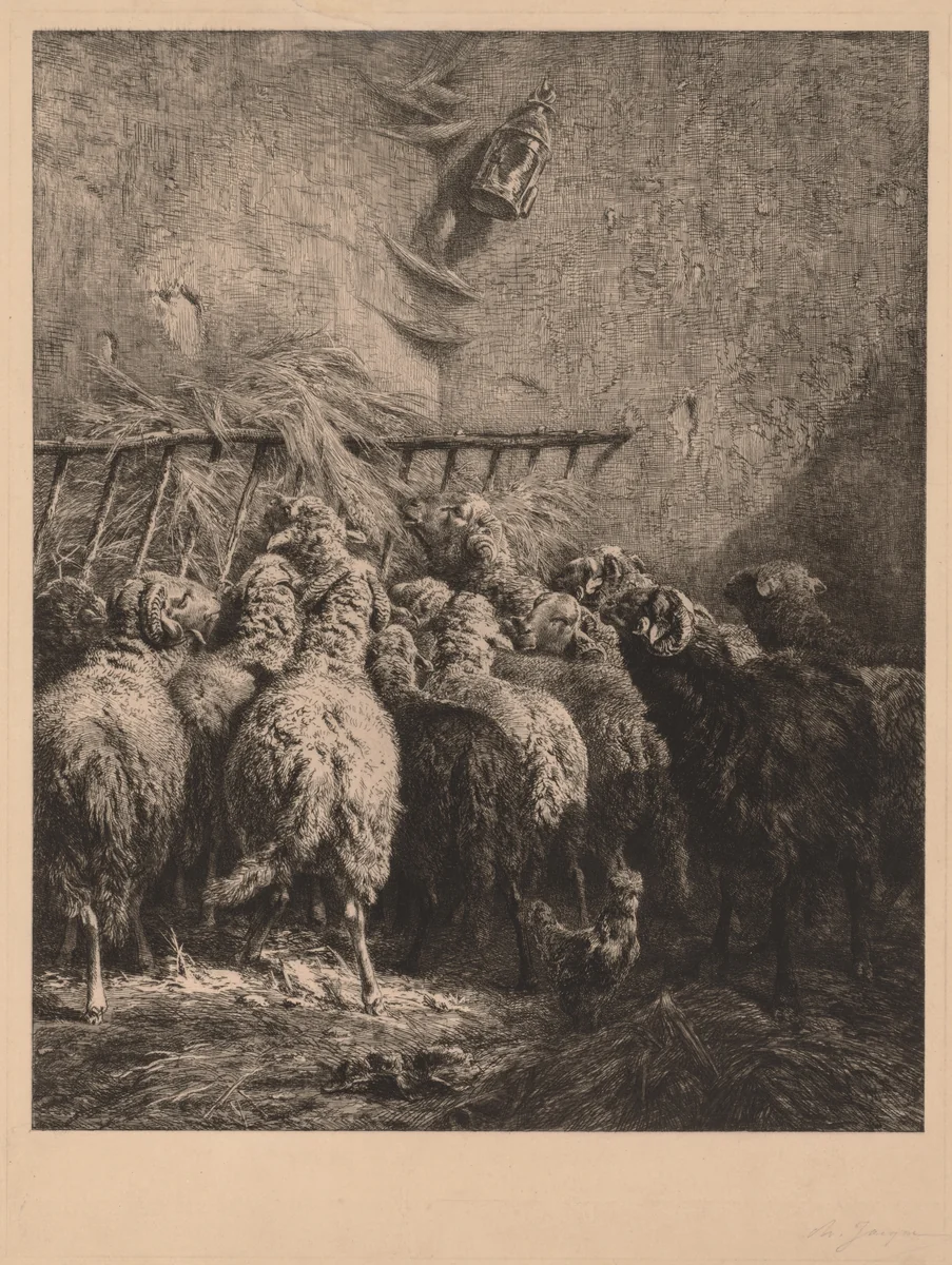 Sheep Enclosure in Béarn by Charles-Émile Jacque, print, 1884-1894