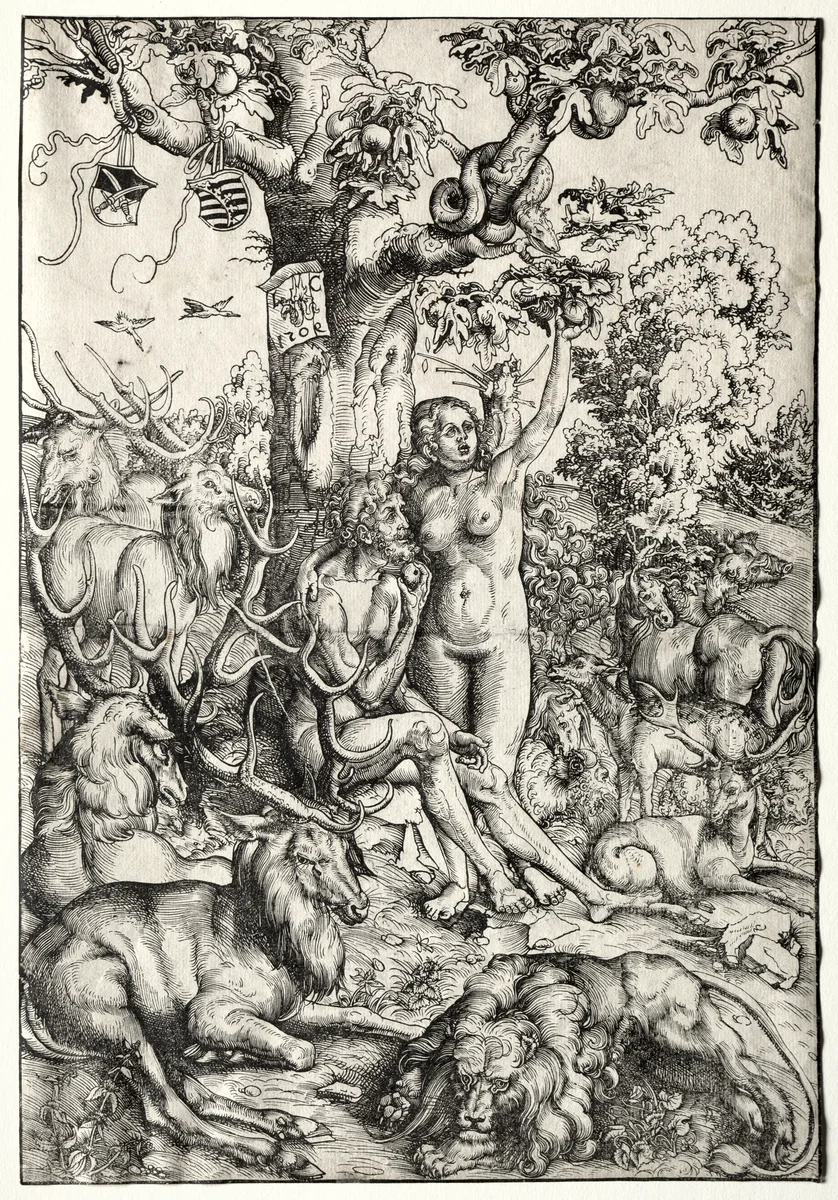 Adam and Eve in Paradise by Lucas Cranach, print, 1509