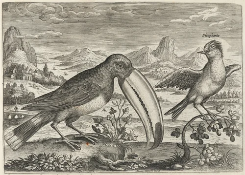 Toucan and Another Tropical Bird by Adriaen Collaert, print, 1595-1605