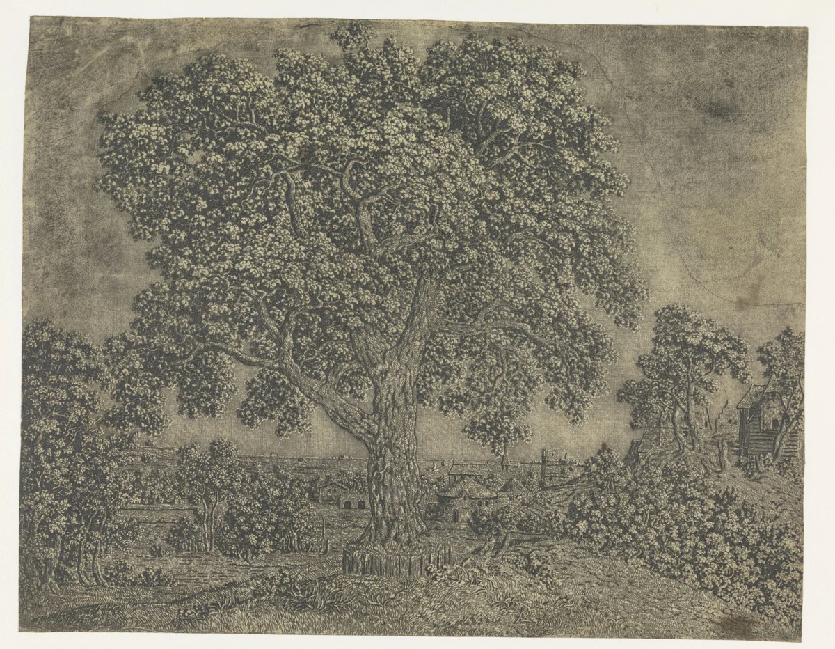 The Large Tree by Hercules Segers, print, 1628-1629