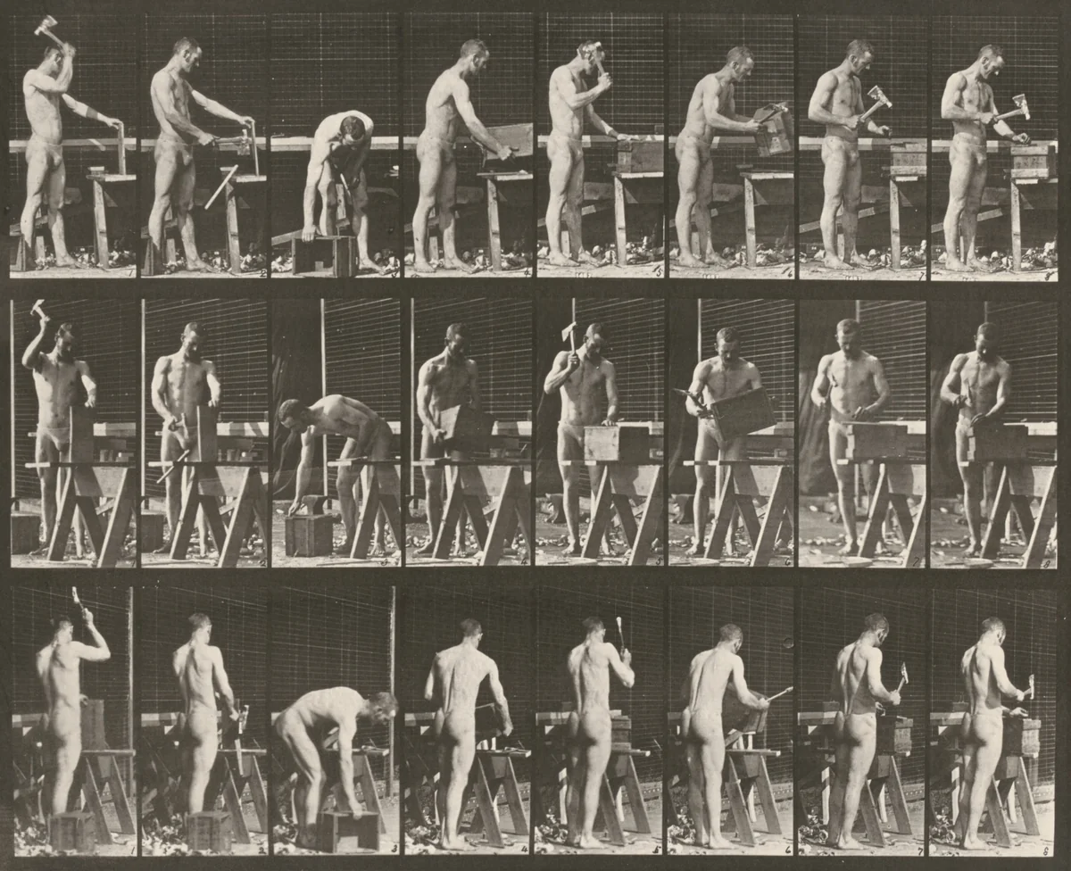 Plate Number 507. Carpentering by Eadweard Muybridge, photograph, 1887