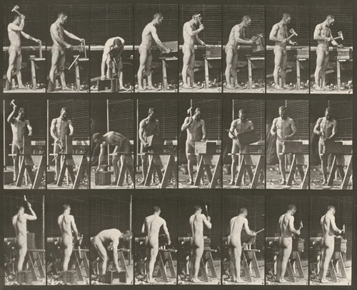 Plate Number 507. Carpentering by Eadweard Muybridge, photograph, 1887
