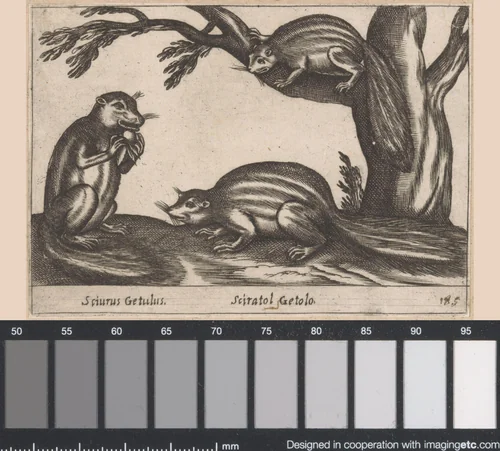 Drie eekhoorns by Antonio Tempesta, print, 1565-1630