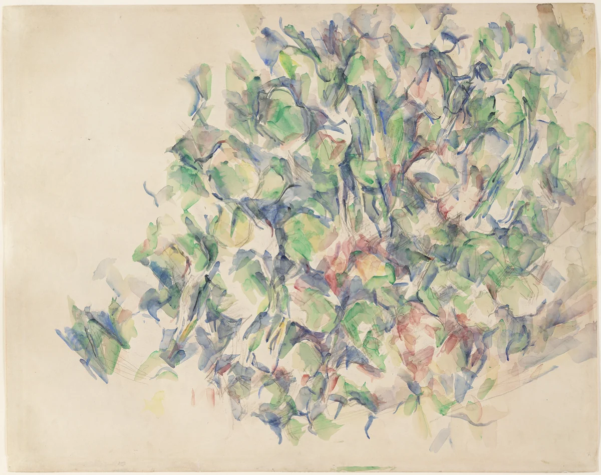 Foliage (recto); Study of Trees (verso) by Paul Cézanne, drawing, 1895
