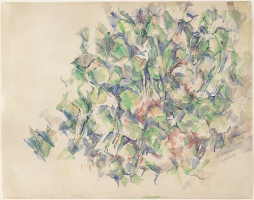 Foliage (recto); Study of Trees (verso) by Paul Cézanne, drawing, 1895