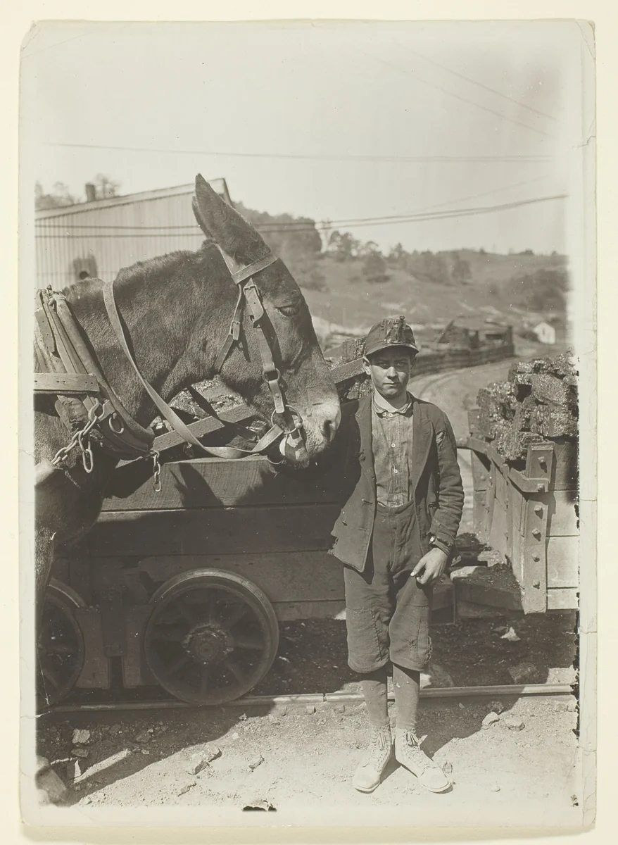 Young Driver In West Virginia Coal Mine by Lewis Wickes Hine, photograph, 1908