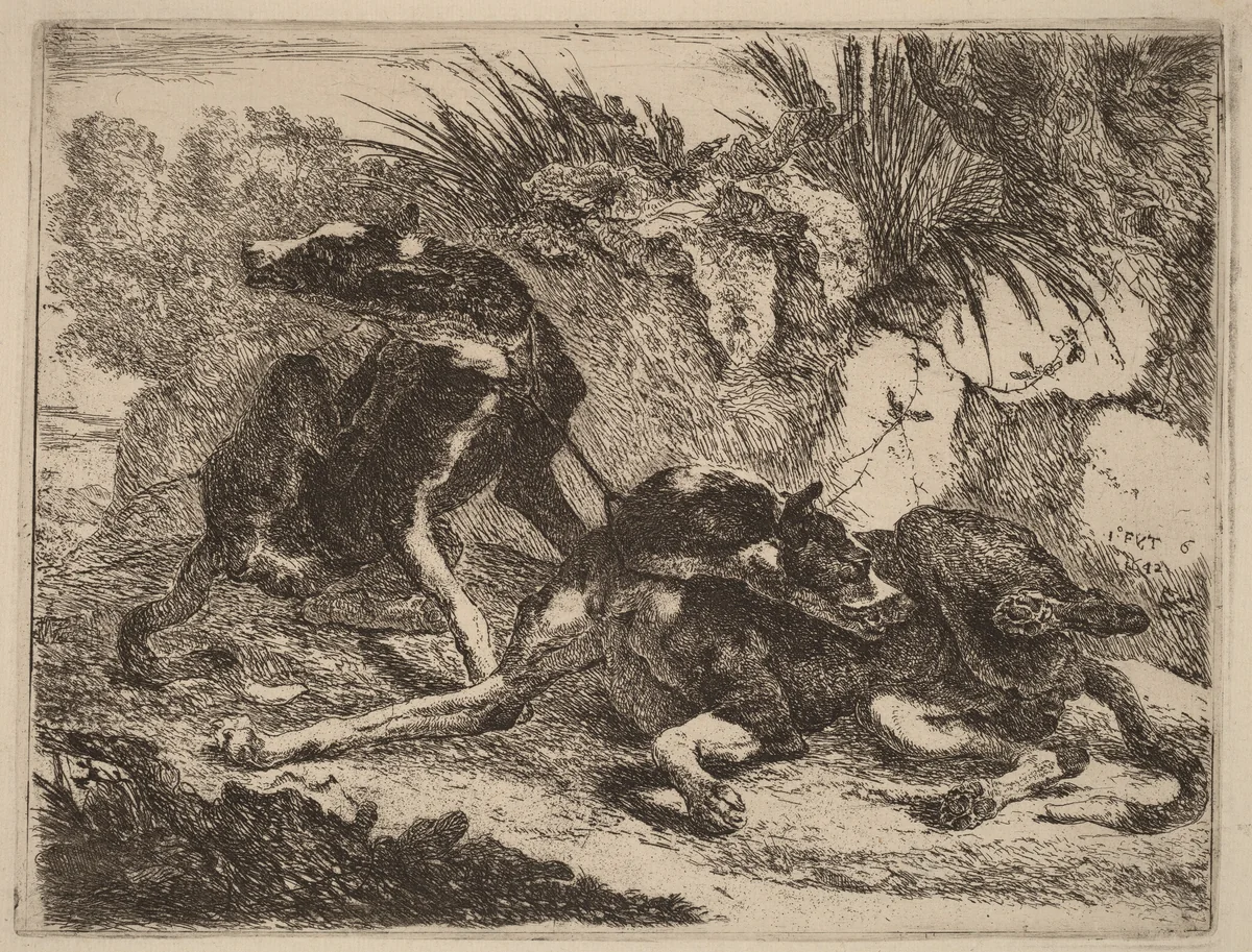 Two Greyhounds, Leashed and Facing Opposite Directions by Jan Fyt, print, 1642