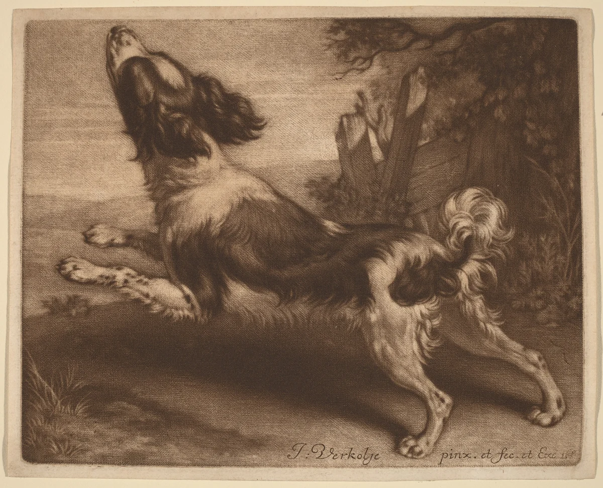 A Spaniel Jumping by Jan Verkolje, print, 1680