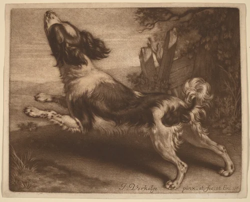 A Spaniel Jumping by Jan Verkolje, print, 1680