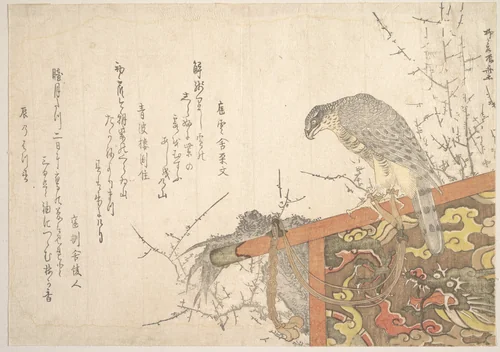 Hawk Tied to Perch by Ryūryūkyo Shinsai (柳々居辰斎), print, 1750-1835