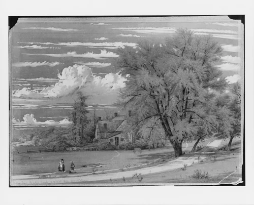 Willow Tree, Harlem Creek, New York by William Rickarby Miller, artwork, 1853