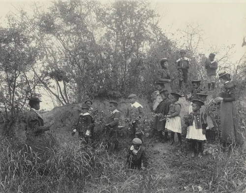 Primary class studying plants. Whittier School by Frances Benjamin Johnston, photograph, 1899