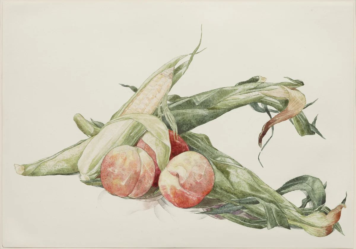 Corn and Peaches by Charles Demuth, drawing, 1929