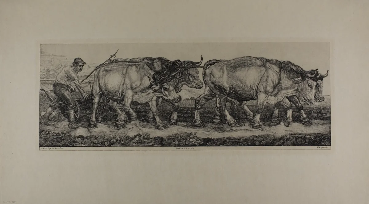 Plowing Oxen by Pieter Dupont, print, 1890-1911