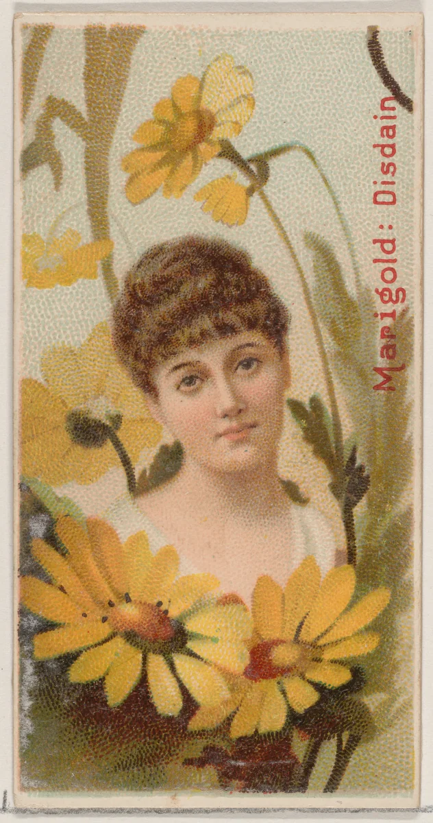 Marigold: Disdain, from the series Floral Beauties and Language of Flowers (N75) for Duke brand cigarettes by American Tobacco Company, print, 1892