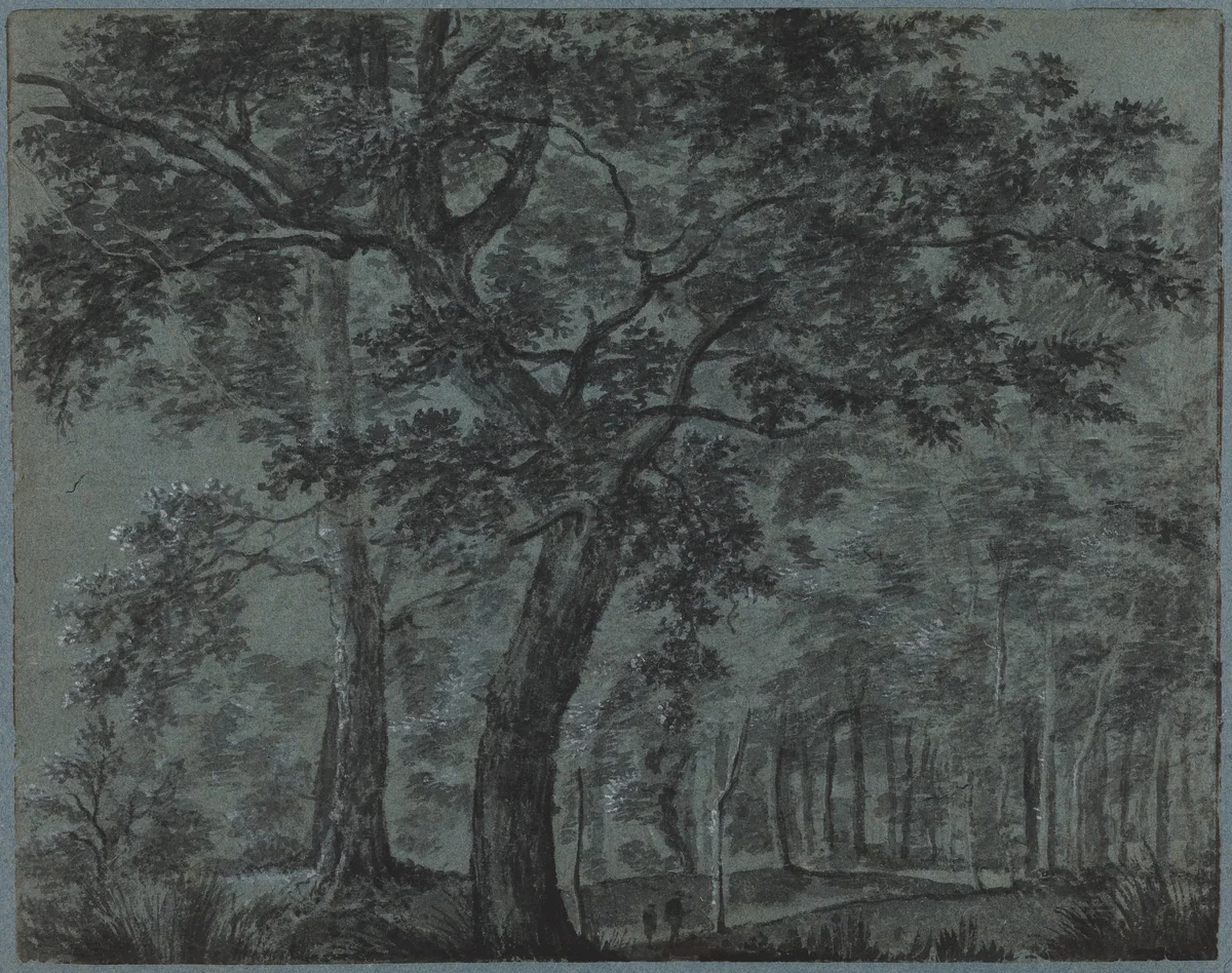 Woods at Night with Travelers by Joris van der Haagen, drawing, 1615-1669