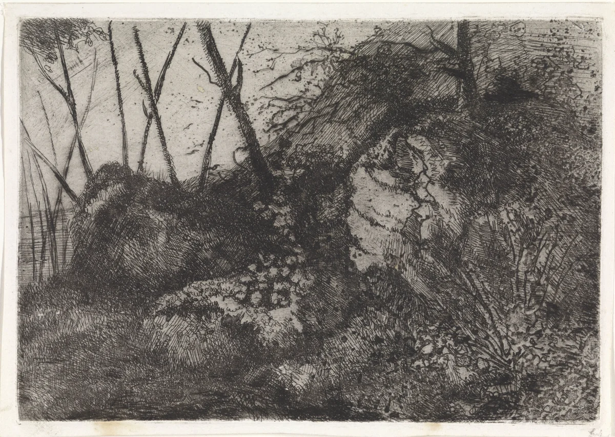 Rotspartij by Arnoud Schaepkens, print, 1855-1904