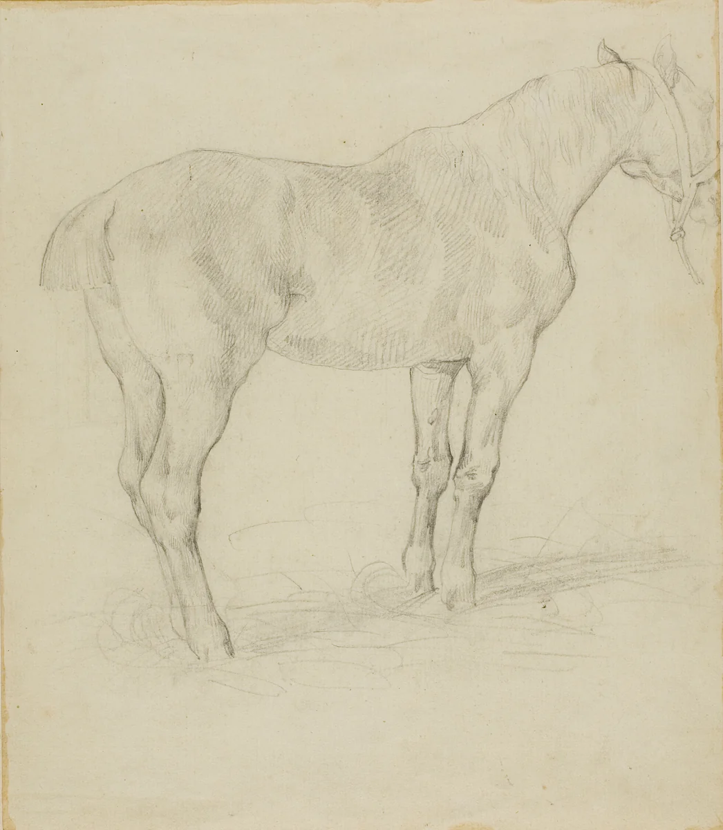 Standing Horse by Jean Louis André Théodore Géricault, drawing, 1818-1819
