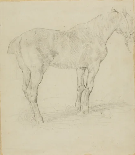Standing Horse by Jean Louis André Théodore Géricault, drawing, 1818-1819