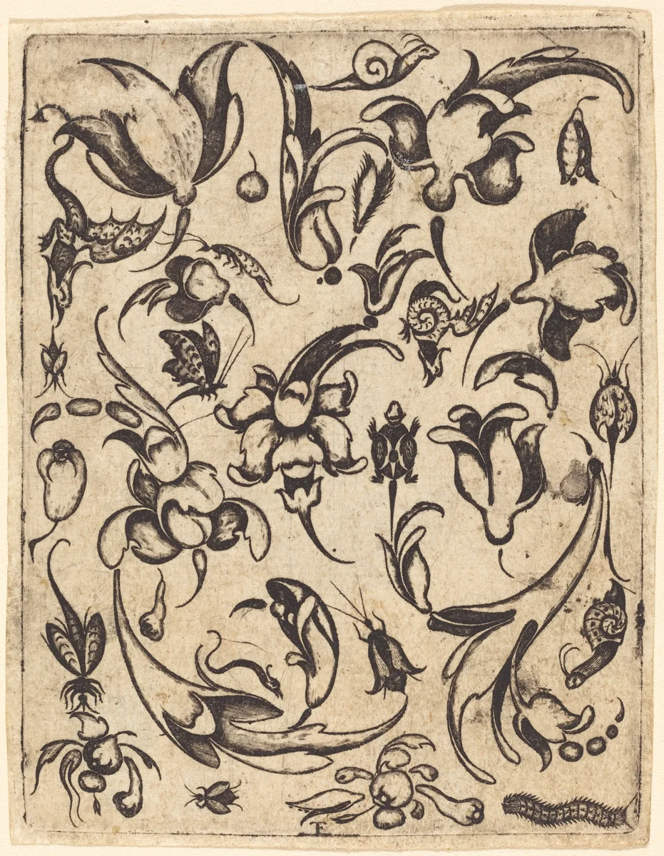 Ornament by Master T.F., print, 1480-1599