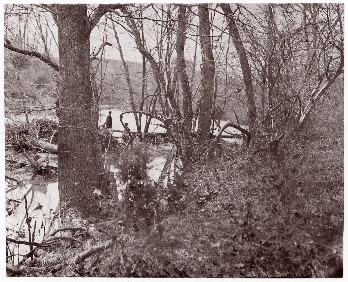 [View on Rapidan River, Virginia] by Timothy O'Sullivan, photograph, 1861-1865
