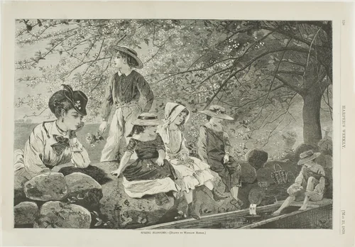 Spring Blossoms by Winslow Homer, print, 1870