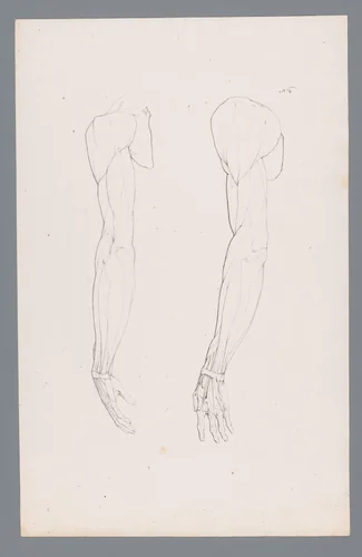 Twee anatomieën van een arm by L. Tilger, print, 1828-1830