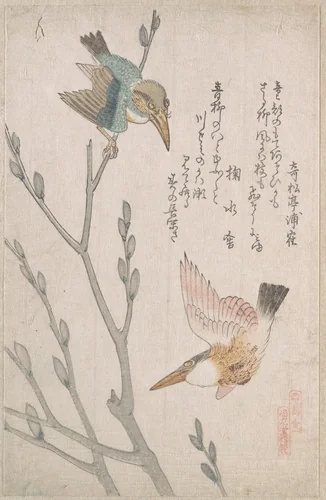 Kingfishers and Pussy-willow by Kubo Shunman (窪俊満), print, 1800-1899