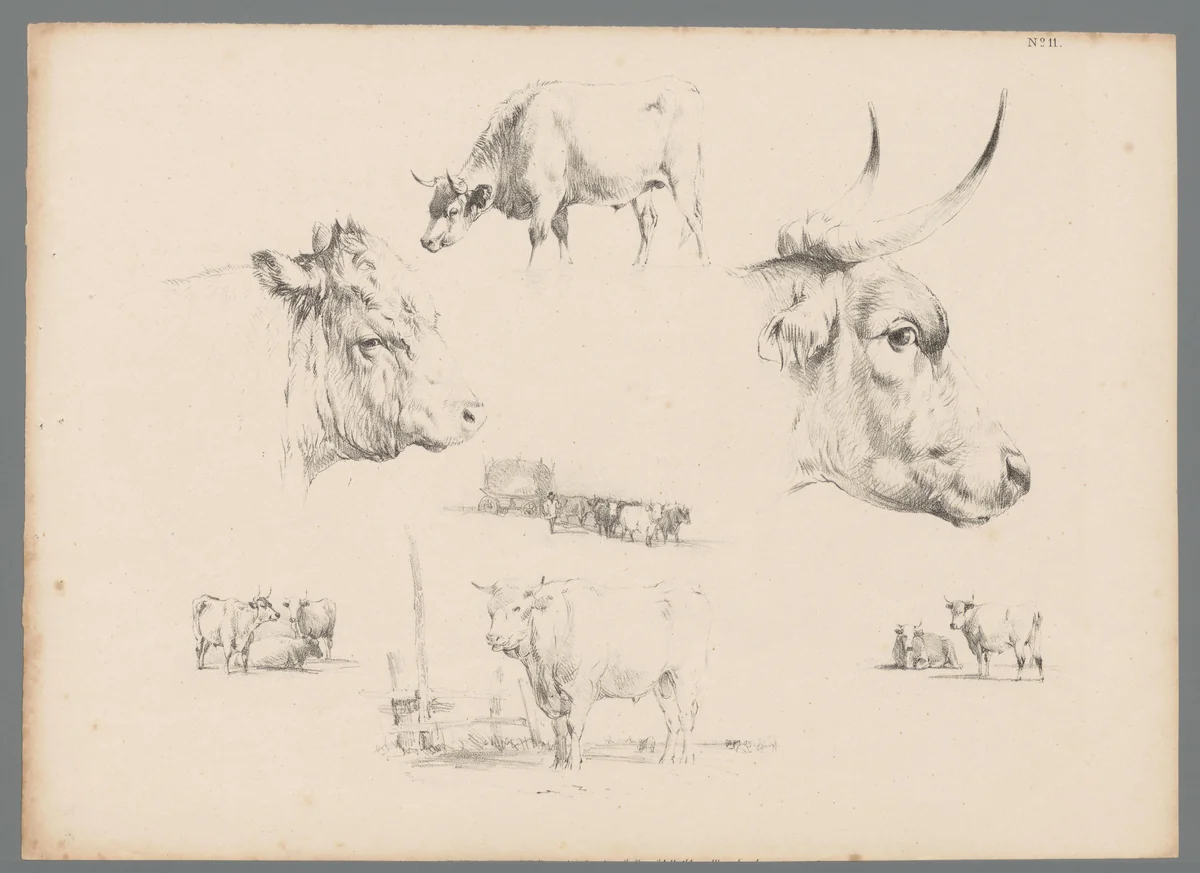 Zeven voorstellingen van runderen by Thomas Sidney Cooper, print, 1837