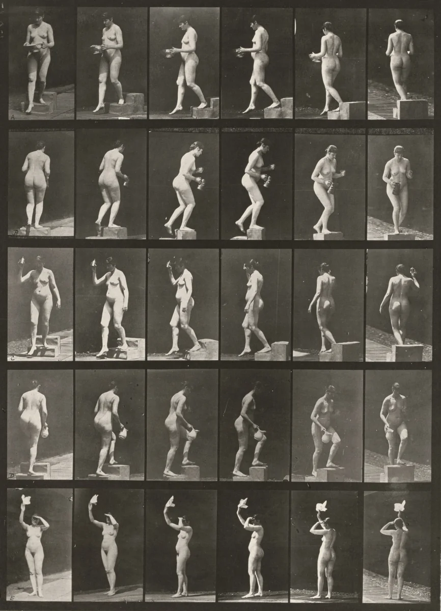 Plate Number 525. A, C: Descending a step. B, D: Ascending a step. E: Waving a handkerchief by Eadweard Muybridge, photograph, 1887
