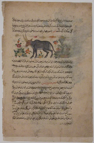 "Steinbok", Folio from a Dispersed Nuzhatnama-i ‘A’a’i of Shahmardan ibn Abi’l Khayr by Shamardan ibn Abi 'l Khayr, manuscript, 1475-1525