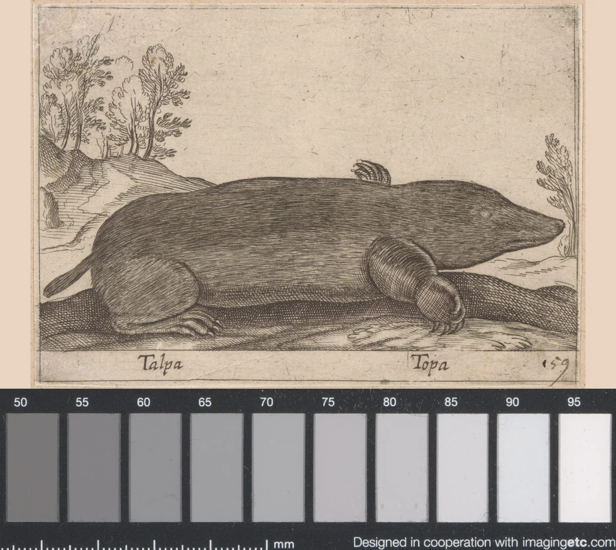 Mol by Antonio Tempesta, print, 1565-1630