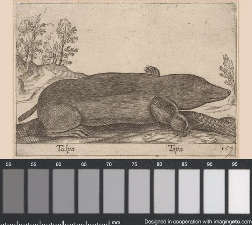 Mol by Antonio Tempesta, print, 1565-1630