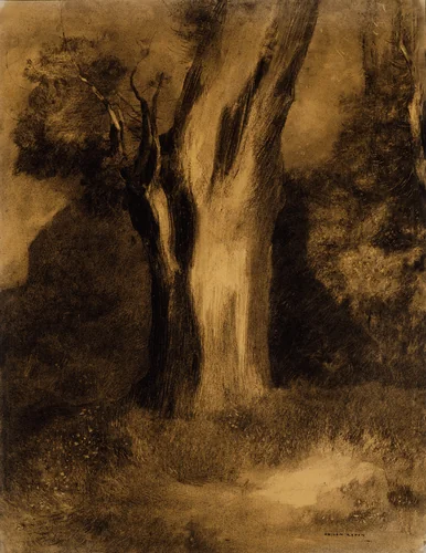 Tree by Odilon Redon, drawing, 1875