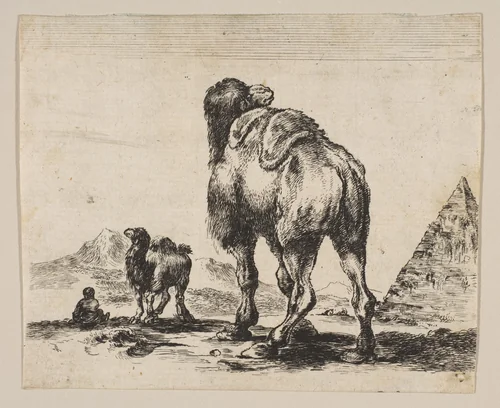 Plate 18: Camel viewed from behind with pyramid at right, from "Various animals" (Diversi animali) by Stefano della Bella, print, 1641-1660