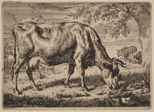 Grazing Cow with Two Sheep by Adriaen van de Velde, print, 1670