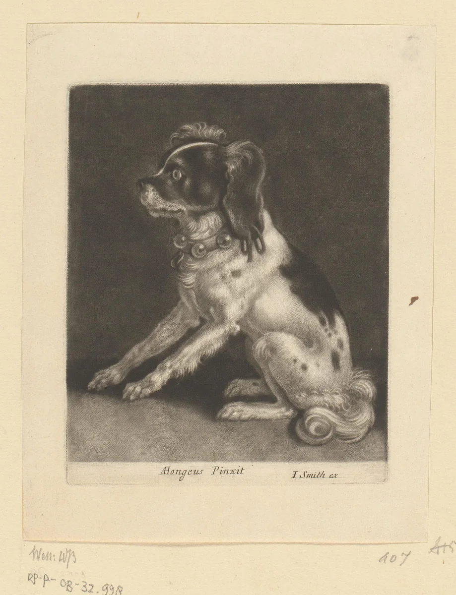 Patrijshond by John Smith, print, 1662-1742